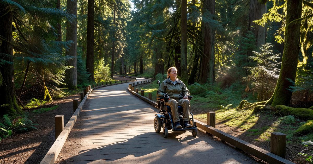 A visitor in a power wheelchair on a paved boardwalk trail at a national park, surrounded by forest, bright afternoon light