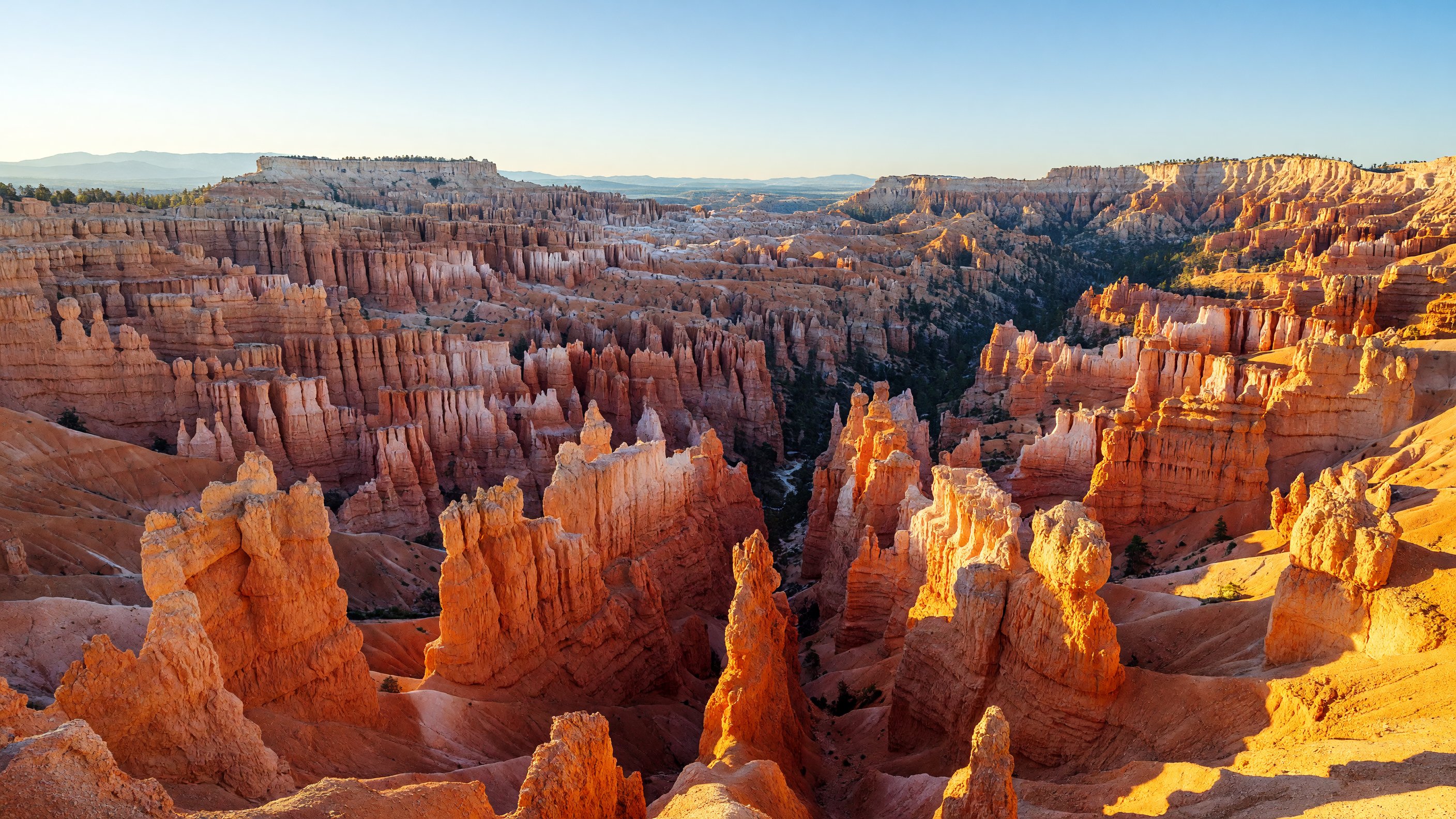 Bryce Canyon amphitheater at sunrise — thousands of orange hoodoo spires lit by low-angle morning light, with deep blue shadows filling the spaces between formations