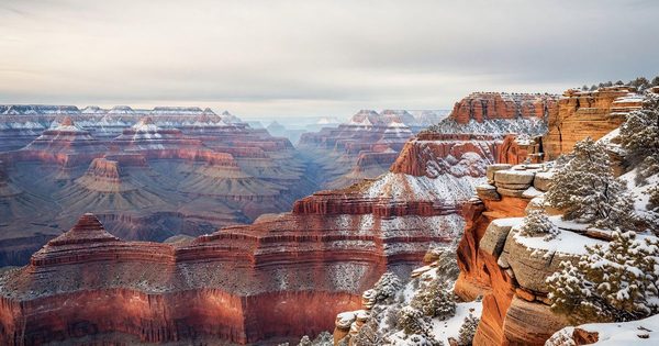 Snow dusting the South Rim of the Grand Canyon in December, red canyon walls visible below a pale winter sky