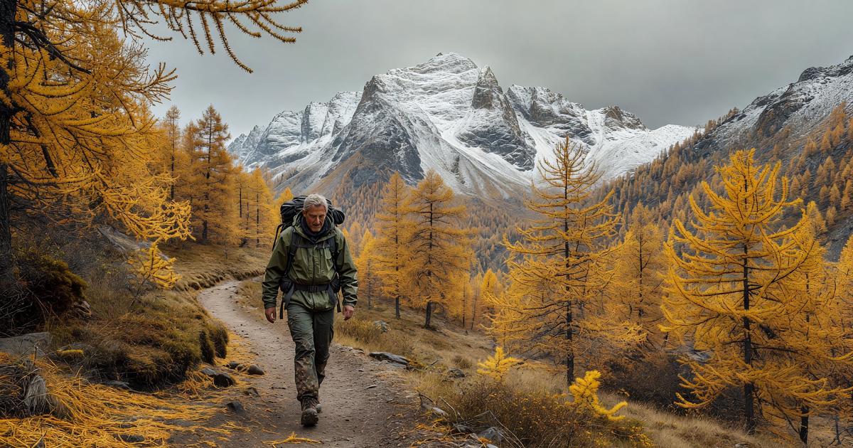 A hiker on an empty mountain trail in autumn, golden larch trees and a snow-dusted peak in the background, overcast sky